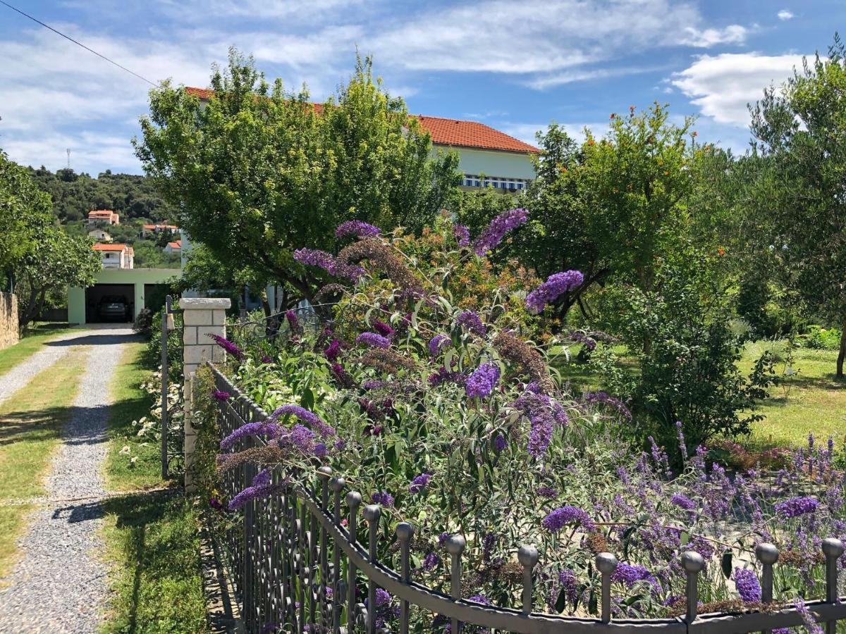 Muntidor Apartament