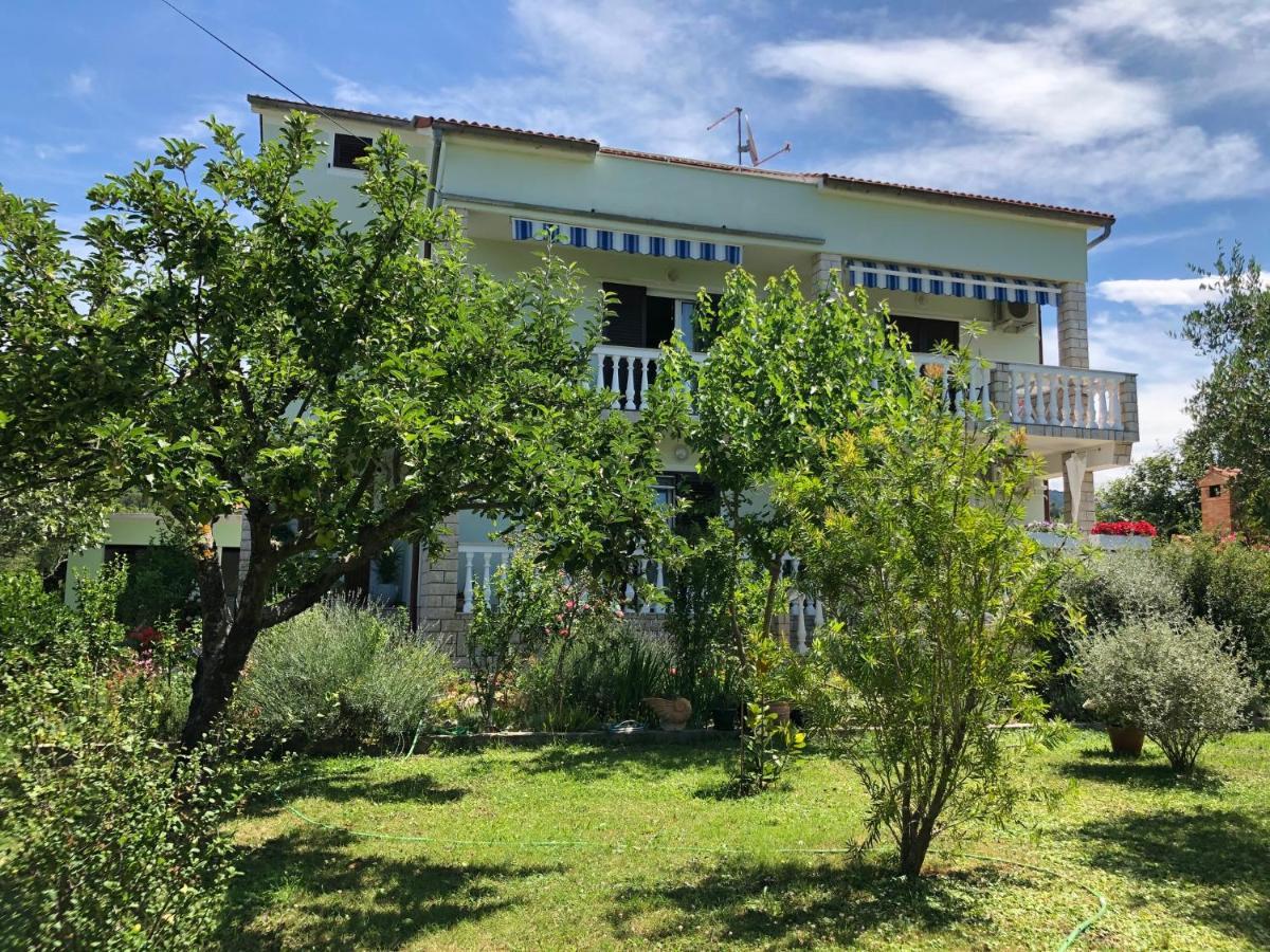 Muntidor Apartament Palit